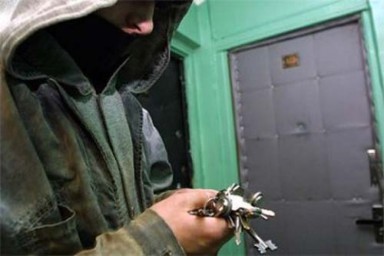 СМЕРТЬ ДОМУШНИКА (в сокращении)