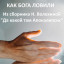 Как бога ловили