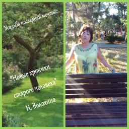 Новые хроники старого человека