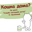 Кошка дома?
