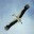 StorK