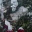 Цветы под снегом