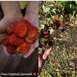 Мои угодия. Мои угодия.