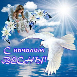 ПТИЧКА