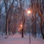 Всё затихло в заснеженном парке