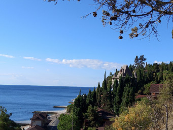 Неделя счастья