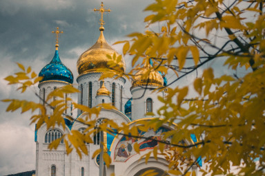 Войдем в осенний лес как в храм