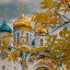 Войдем в осенний лес как в храм