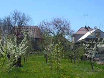 Весна чарівниця