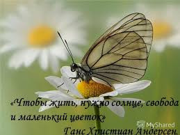 Цветы жизни...