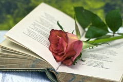 Как много знать поэту нужно...