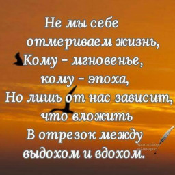 ​Японская мудрость