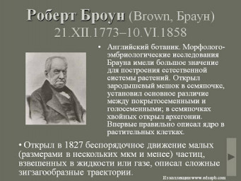 Роберт Броун