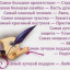 Путешествие в мир знаний