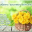 7 правил сильного человека
