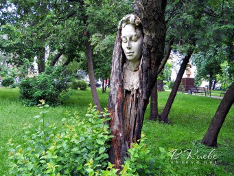 МАВКА