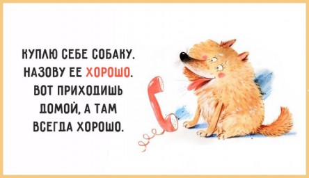 Гумор...