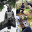 ​Самая удивительная птица из Южной Америки