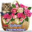 ​Изменчивы осенние деньки