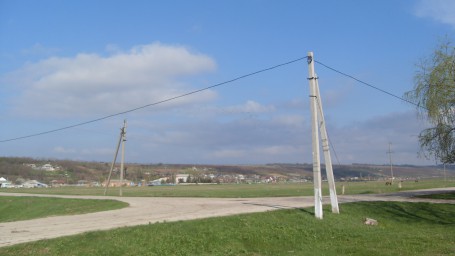 Рассказ Корни