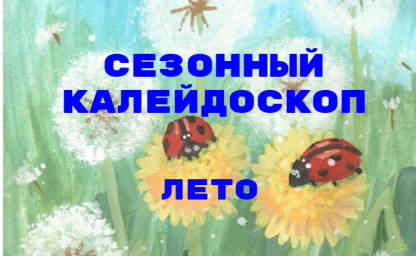 Сезонный калейдоскоп. Летний брахиколон Сезонный калейдоскоп. Летний брахиколон