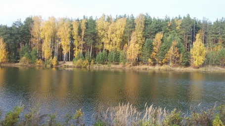 Симфония осени Подмосковья