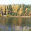 Симфония осени Подмосковья