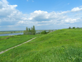 Июнь, сенокосы Июнь, сенокосы