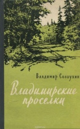 Вне конкурса. Навеяно книгой Владимира Солоухина "Владимирские проселки"
