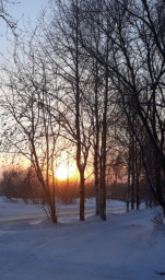 Зимний закат