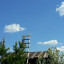 Моя лесенка