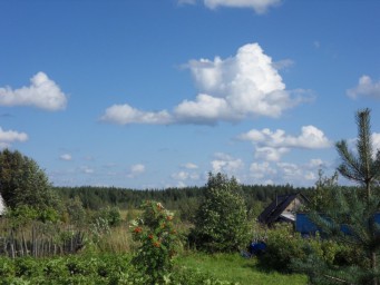 В наступающую осень...