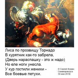Лиса по прозвищу Торнадо