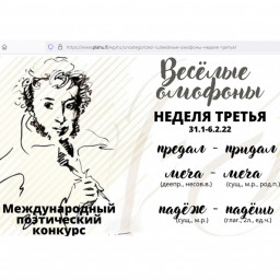 ​Оракул