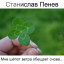 Станислав Пенев. Мне шёпот ветра обещает снова... Поэтический перевод с болгарского