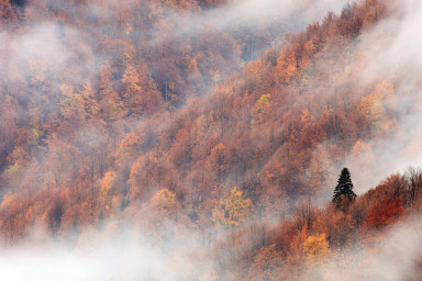 Балканы