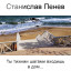Станислав Пенев. Ты тихими шагами входишь в дом.. Поэтический перевод с болгарского...