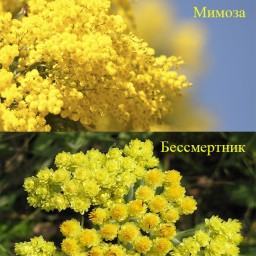 Автопортрет