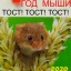Год мыши