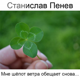 Станислав Пенев. Мне шёпот ветра обещает снова... Поэтический перевод с болгарского