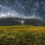 День и ночь над изрытым курганом...
