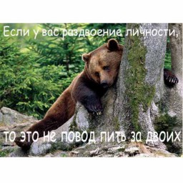 Достиг просветления к вечеру я...