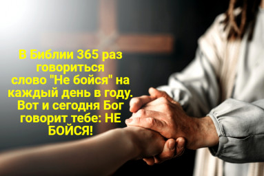 Не бойся, не смущайся