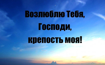 Щит и броня