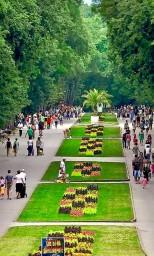 Красота в глазах смотрящего