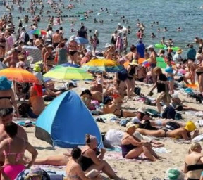 Сюрприз для папы Сюрприз для папы
