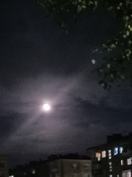 Лунный Балтийск