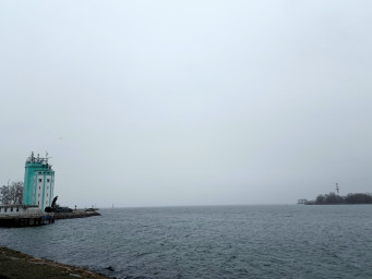 Туманные призраки