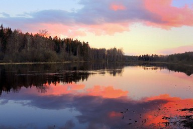 РАННИМ УТРОМ (Этюд)