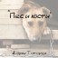 Пес и кости